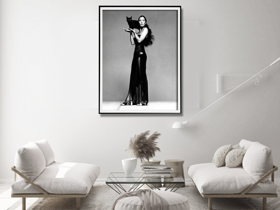 Wall Art 30cmx40cm Cher Music Black and White, Black Frame Canvas